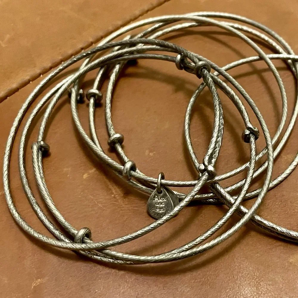 ALEX AND ANI ADJUSTABLE SILVERTONE BANGLE SET